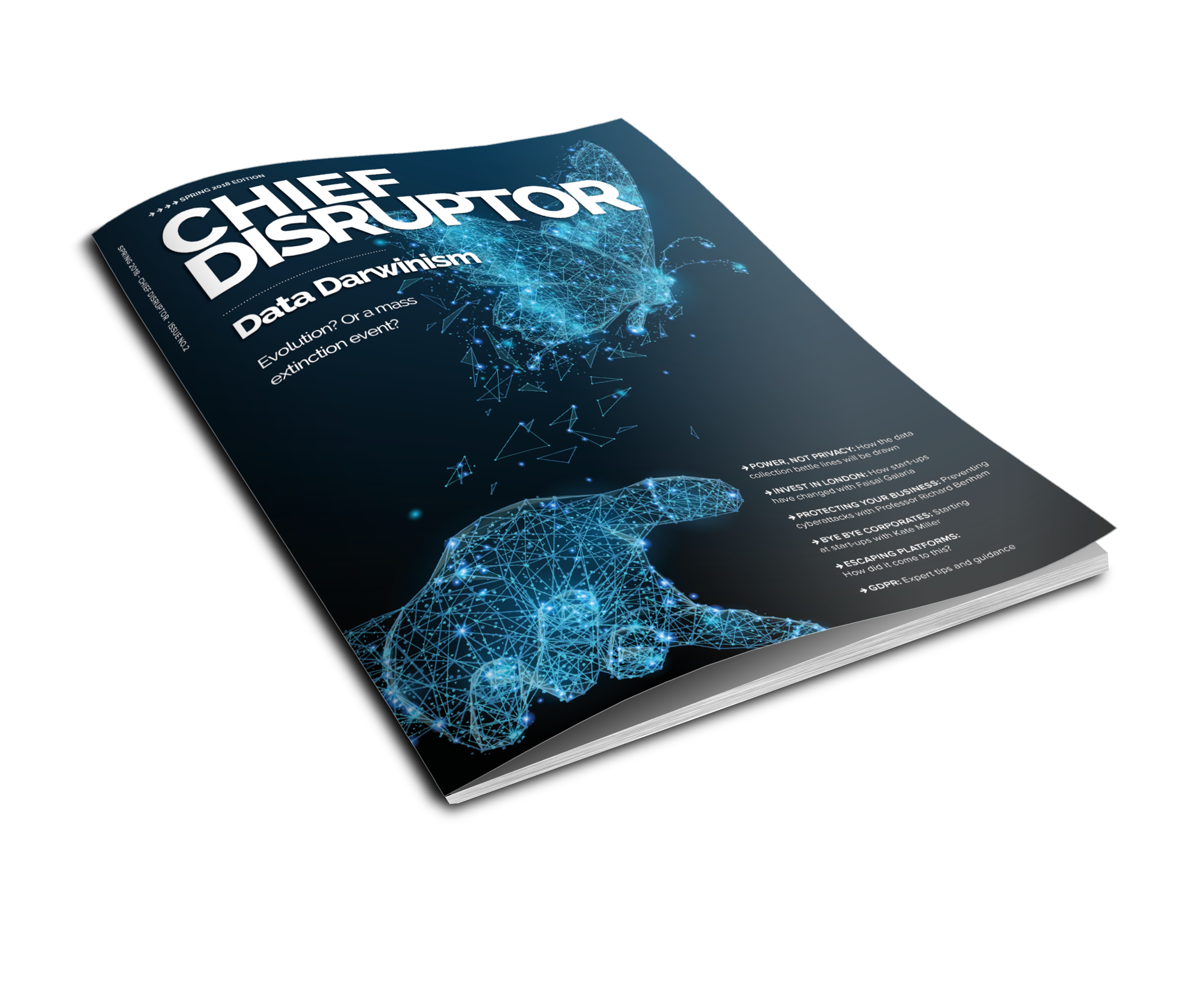 Chief Disruptor Spring 2018 Edition