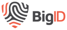 Big ID - logo - transparent background