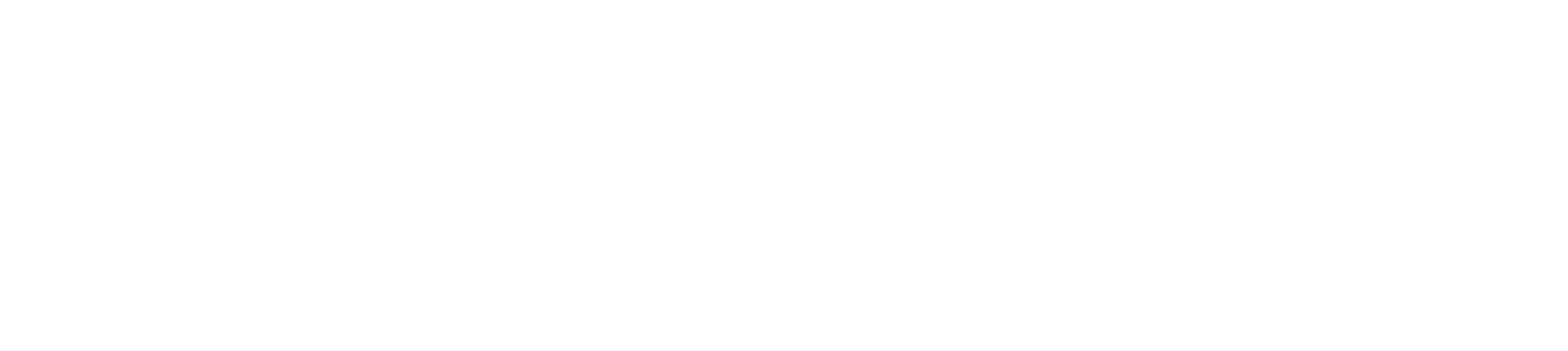 pega-logo-horizontal-reverse-transparent-rgb-01-1