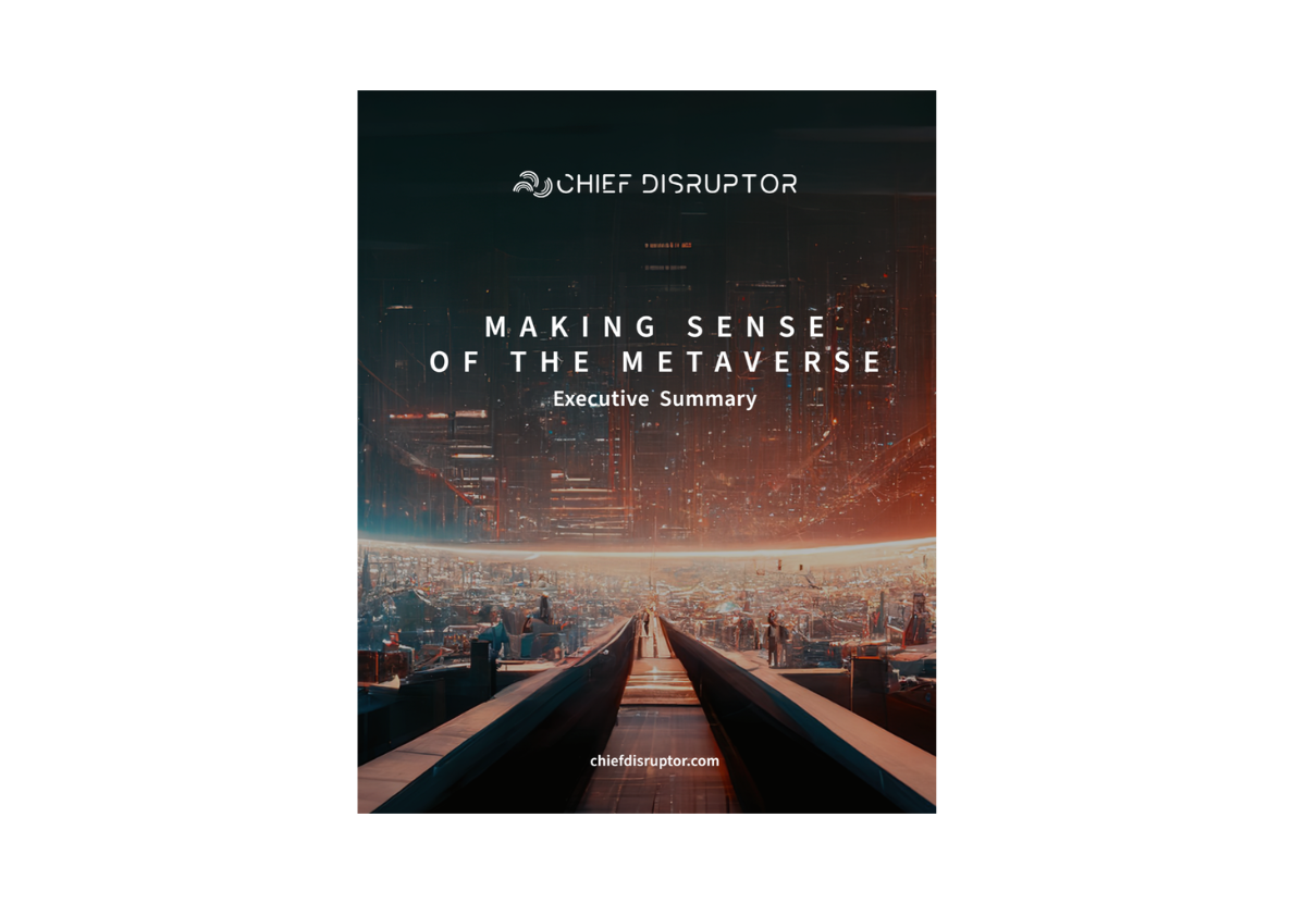 Making Sense of The Metaverse-1